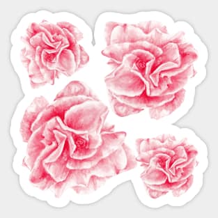 pattern with flower of love Sticker